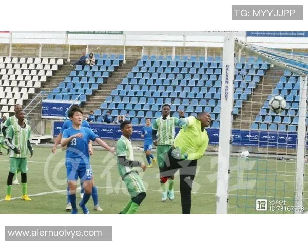 深圳乒乓球队杯赛战术分析与表现评估的深度解读